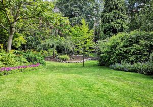 Optimiser l'expérience du jardin à Rembercourt-Sommaisne